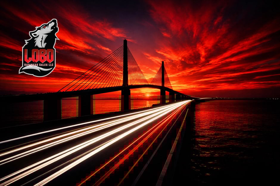 Professional Business Brokerage Tampa Florida Sell Your Business at LoboBusinessSales.com