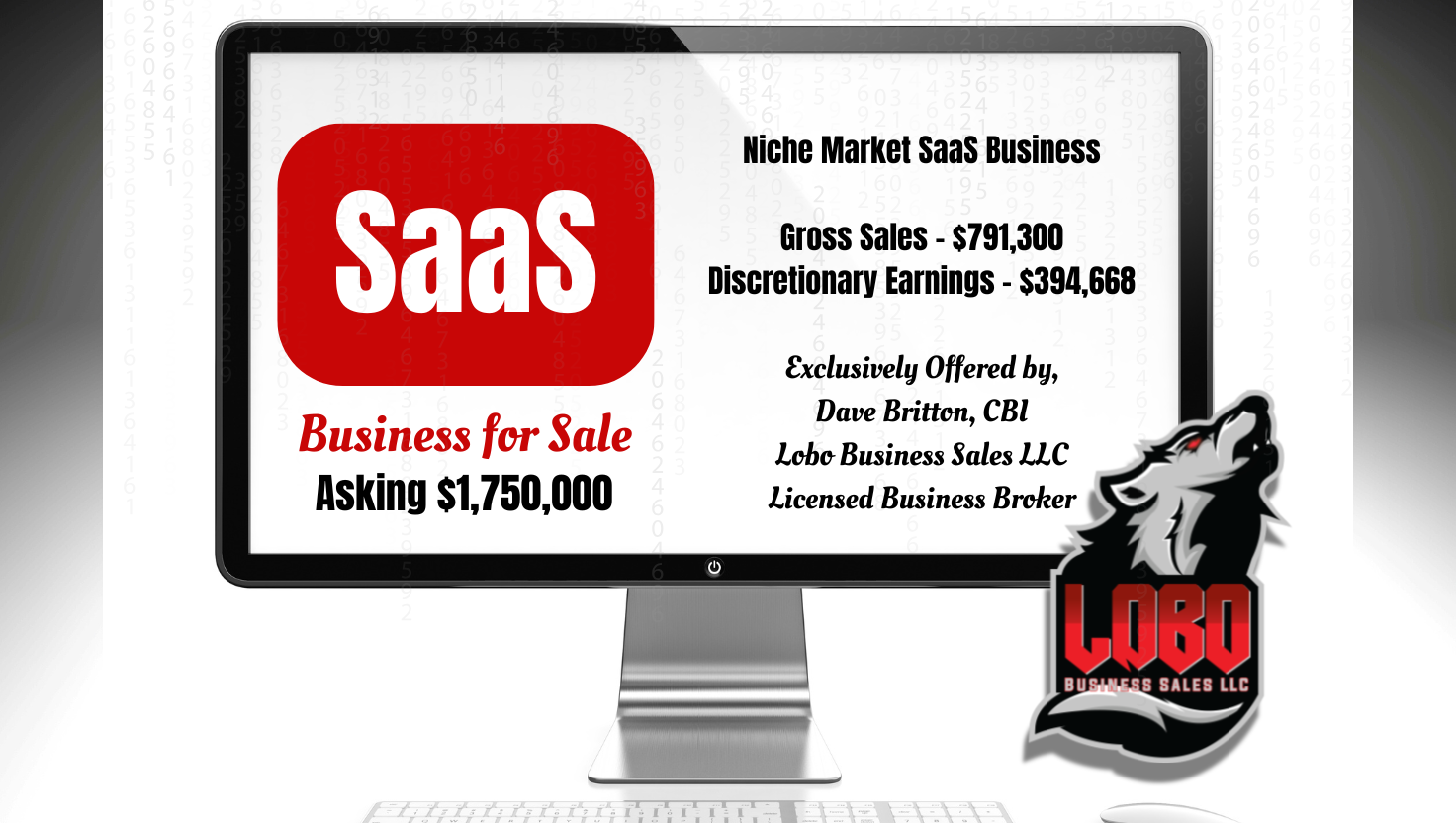 SaaS Business for Sale (2)