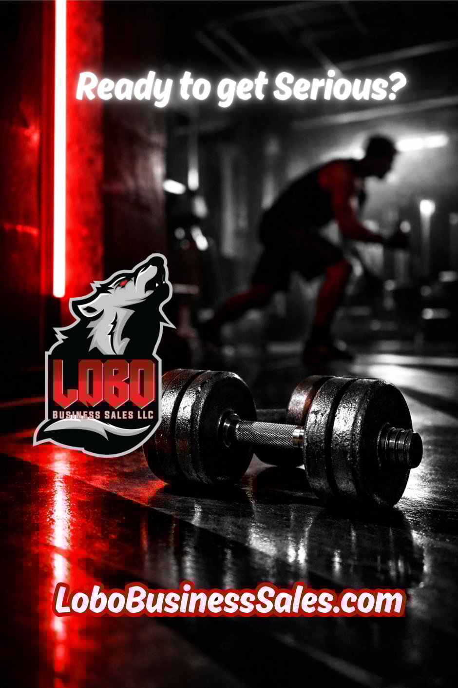 We work with SERIOUS Buyers and Sellers in Small Business Sales Tampa Florida LoboBusinessSales.com